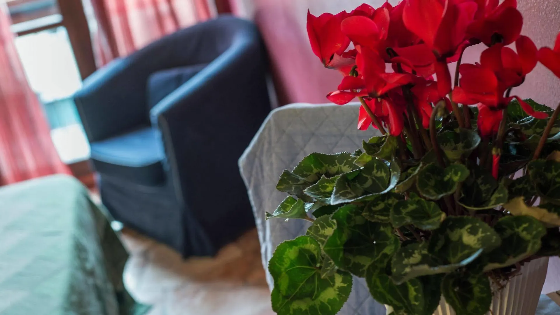 Soggiorno Fortezza Fiorentina Florence Bed & Breakfast
